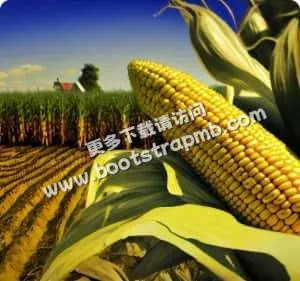 九游体育：以用户为本，服务至上 - 九游体育官网