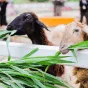 探索体育的魅力 - 九游体育官网